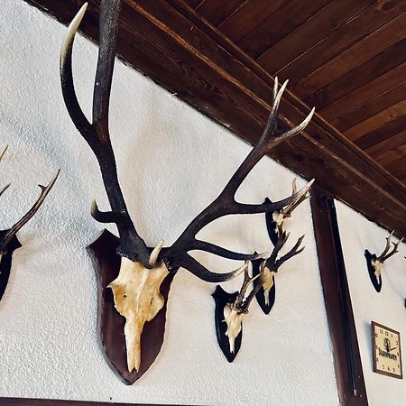 Myslivna Harrachov Ξενοδοχείο Εξωτερικό φωτογραφία