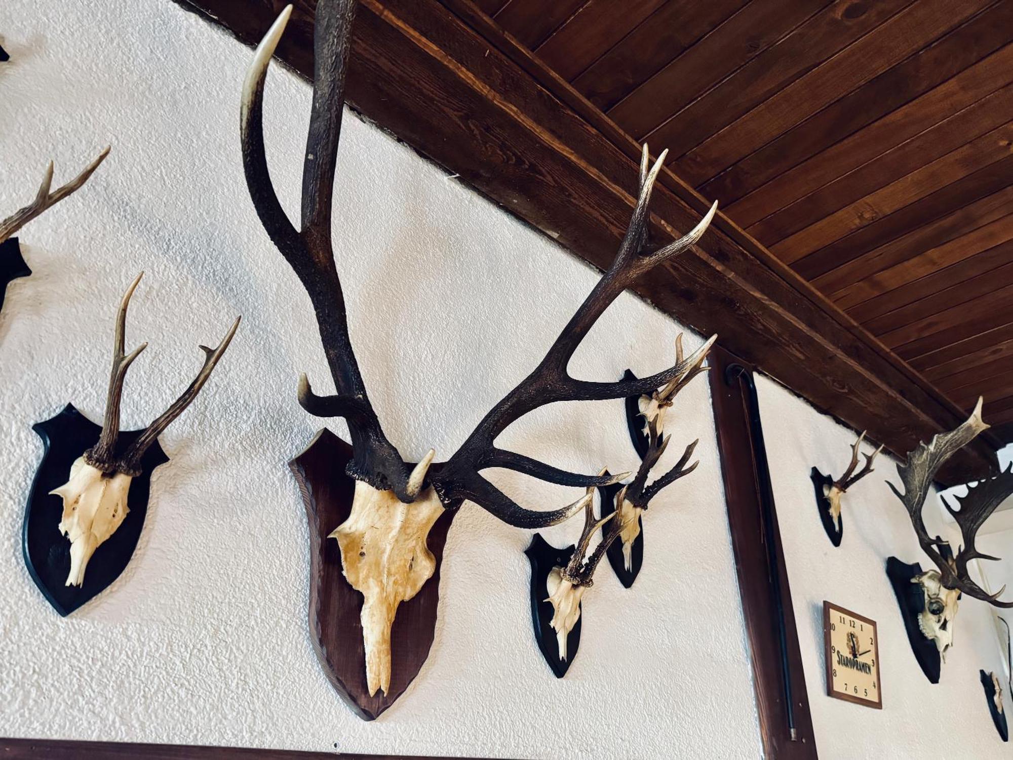 Myslivna Harrachov Ξενοδοχείο Εξωτερικό φωτογραφία